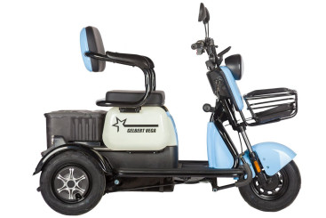Трицикл электрический Rutrike Gelbert Vega (48/60V, 600W, фиолетовый)
