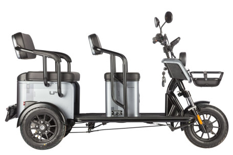 Трицикл электрический Wanshida UM+ 60V 1000Вт (красный)