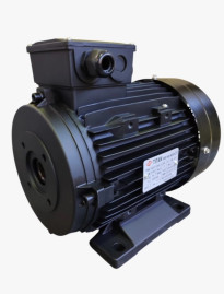 Электродвигатель Titan (15кВт, 380/220В, 1450об/мин, п.в. 24мм, Dфл 87мм, H160)