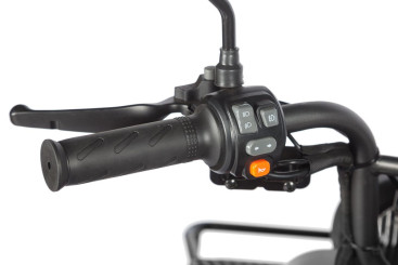 Трицикл электрический Wanshida LC300 (60V, 1000W, зеленый)