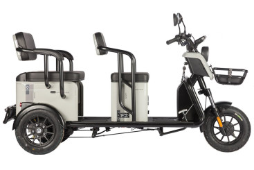Трицикл электрический Wanshida LC300 (60V, 1000W, серый)