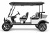 Гольф-кар Rutrike Forester 4F (48V, 3900Вт, белый) (026622-3282)