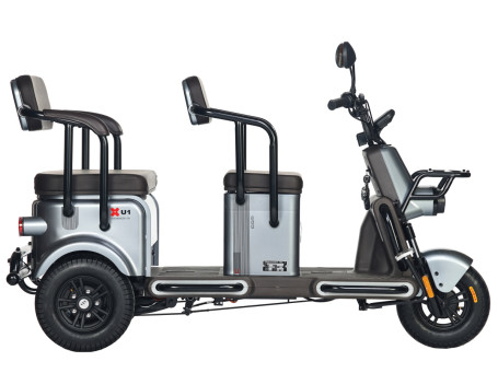 Трицикл электрический Wanshida U1-X 60V 800Вт (коричневый)