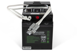 Тяговый аккумулятор RuTrike LiFePO4 (24В, 40Ач)