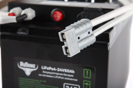 Тяговый аккумулятор RuTrike LiFePO4 (24В, 60Ач)