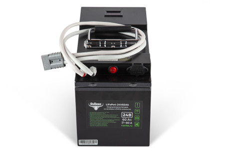 Тяговый аккумулятор RuTrike LiFePO4 (24В, 60Ач)