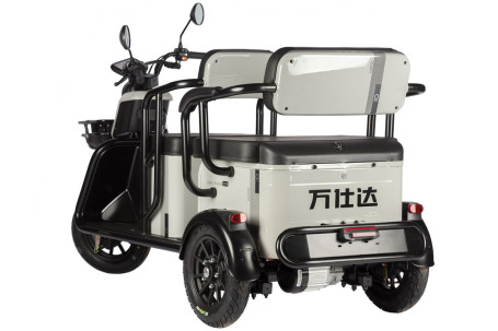 Трицикл электрический Wanshida LC300 60V 1000Вт (серый)