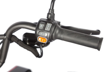 Трицикл электрический Wanshida LC-F200 (60V, 1000W, зеленый)