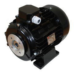 Электродвигатель Nicolini (5.5кВт, 380В, 1450об/мин, п.в. 24мм, Dфл 87мм, H112)