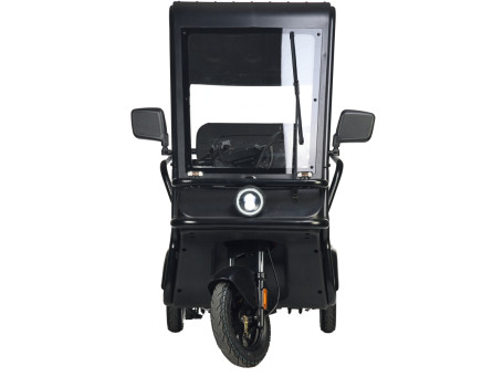 Трицикл электрический Wanshida NIPLA 570 60V 1000Вт (серый)