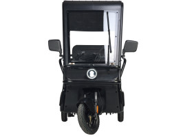 Трицикл электрический Wanshida NIPLA 570 60V 1000Вт (красный)