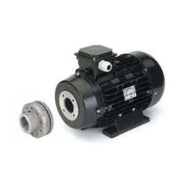 Электродвигатель Nicolini (18.5кВт, 380В, 1450об/мин, п.в.24мм, H160, с муфтой)