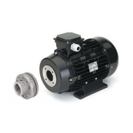 Электродвигатель Nicolini (18.5кВт, 380В, 1450об/мин, п.в.24мм, H160, с муфтой)