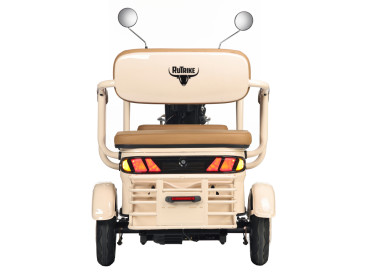 Трицикл электрический Rutrike Gelbert Atlas (48V/60V, 600 Вт, бежевый)