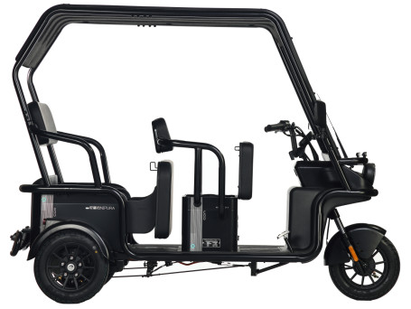 Трицикл электрический Wanshida NIPLA 570 (60V, 1000W, черный) (0000299-3088)