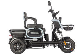 Трицикл электрический Wanshida UN MOTO 60V 650Вт (черный)