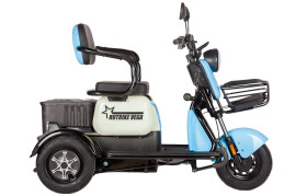Трицикл электрический Rutrike Вега (красный)
