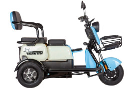 Трицикл электрический Rutrike Вега (красный)