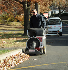 Садовый пылесос Little Wonder Pro Vac
