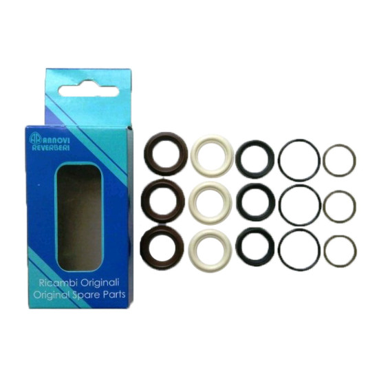 Комплект уплотнений для RR 15.20 (KTRI40145- М-42549)