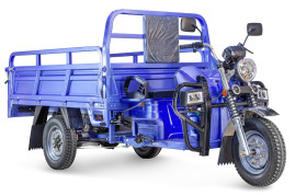 Трицикл электрический Rutrike Эксперт ПРО 2000 (серый)